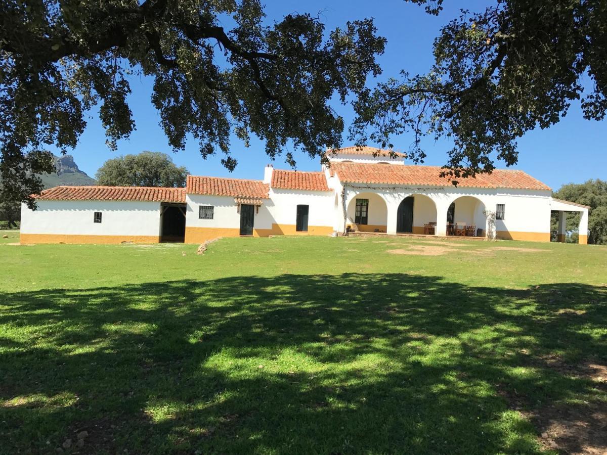 Casa Rural De La Finca Sierra Grande Hornachos Eksteriør bilde
