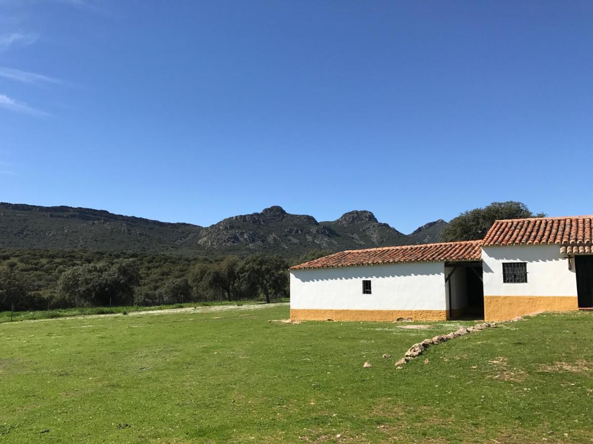 Casa Rural De La Finca Sierra Grande Hornachos Eksteriør bilde