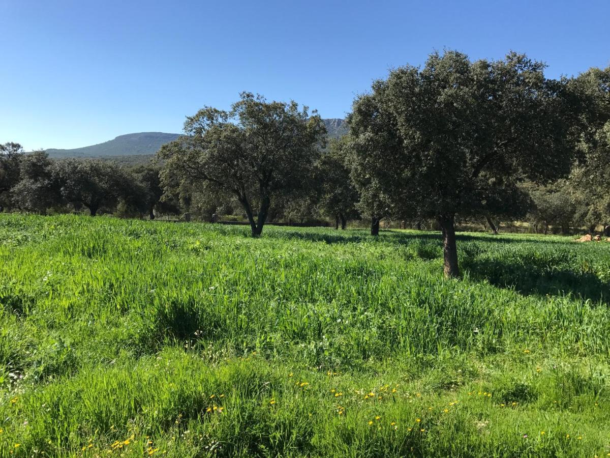 Casa Rural De La Finca Sierra Grande Hornachos Eksteriør bilde